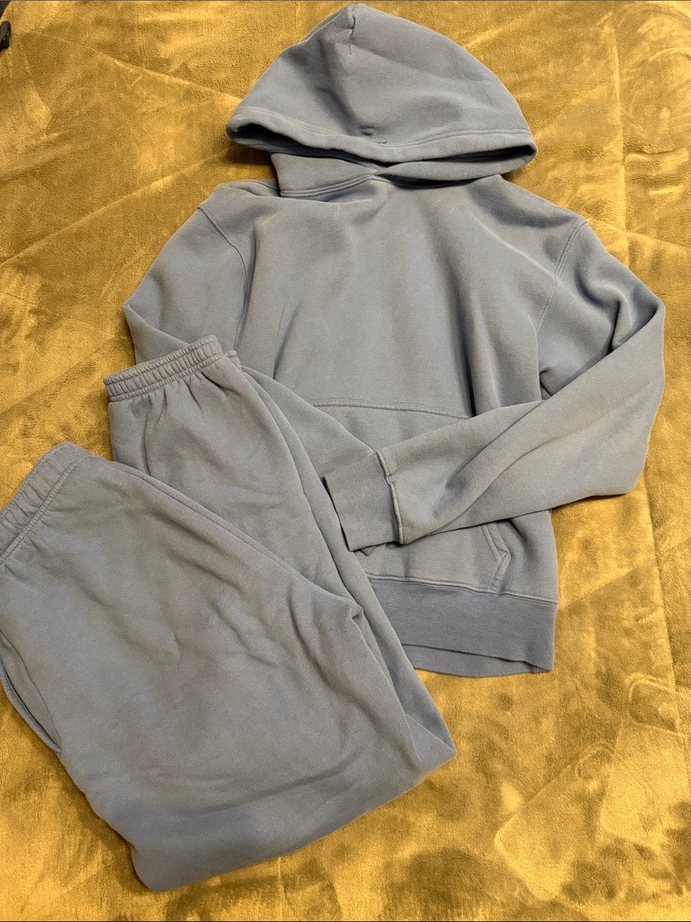 Aritzia Cozy Sweatfleece Blue Matching Sweat Set